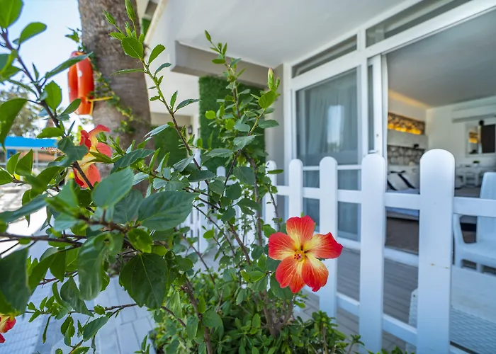 酒店 Sifne Thermal Çeşme