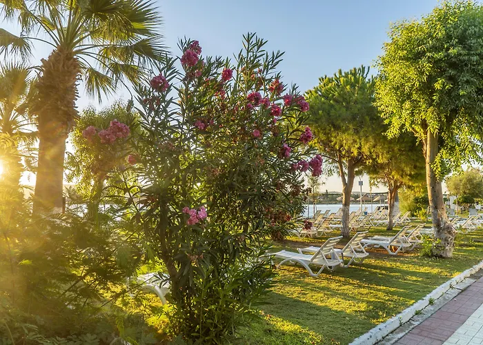 Sifne Thermal 酒店 3*